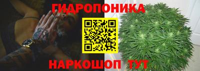 сатива Гусиноозёрск