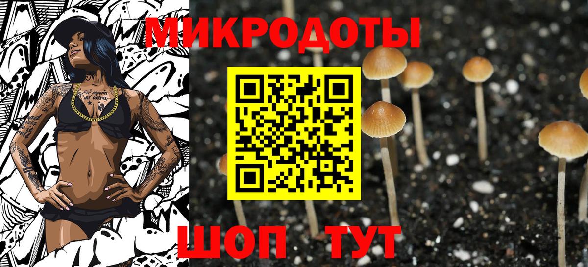 Галлюциногенные грибы Magic Shrooms Моршанск